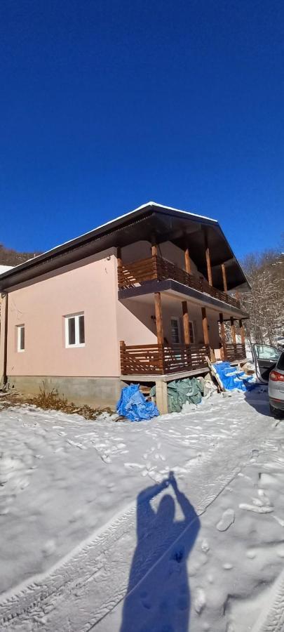 Vila Nika Crni Vrh Exteriér fotografie